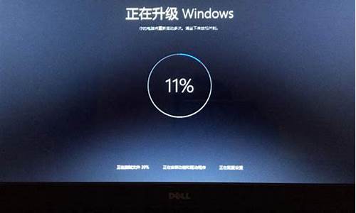 windows更新后音频坏掉-dell电脑系统更新音频出错