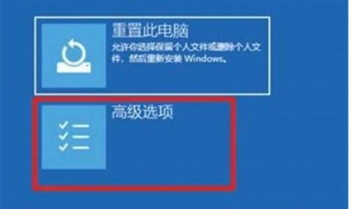 电脑系统崩溃高级显示-电脑系统崩溃怎么重启