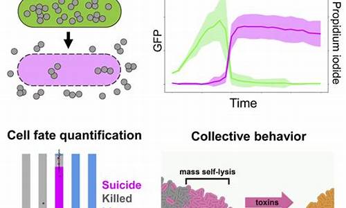 生物袭击电脑系统-生物袭击电脑系统怎么办